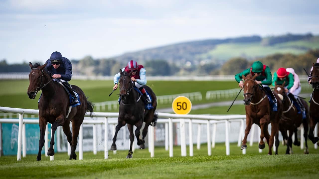 Epsom Oaks betting tips