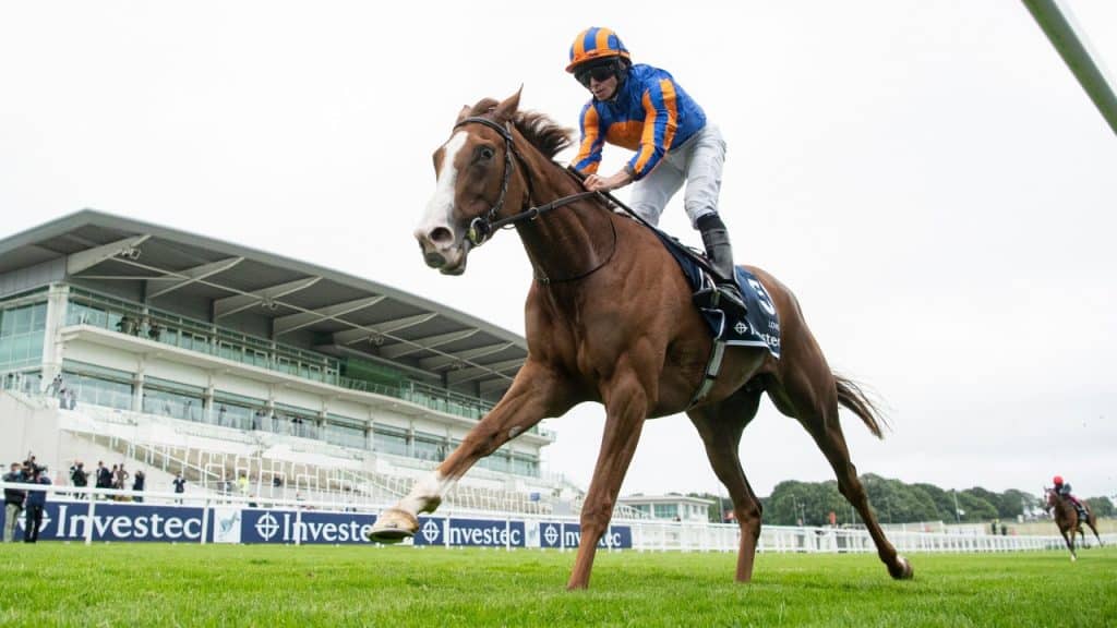 AntePost Racing Tips King VI & Queen Elizabeth Stakes