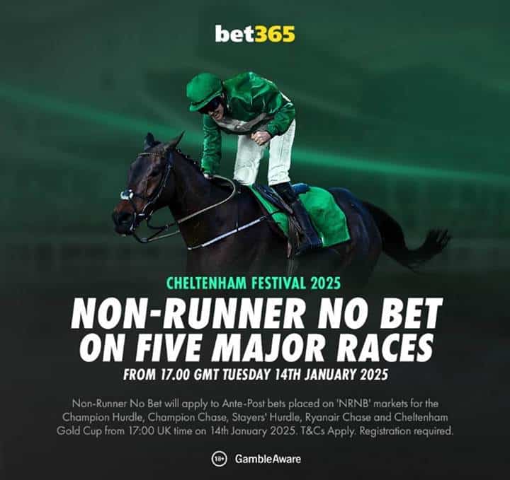 bet365 NRNB Cheltenham 2025