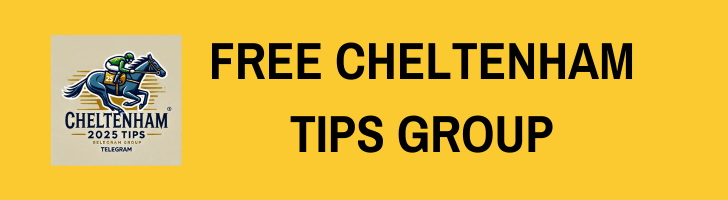 Cheltenham tips