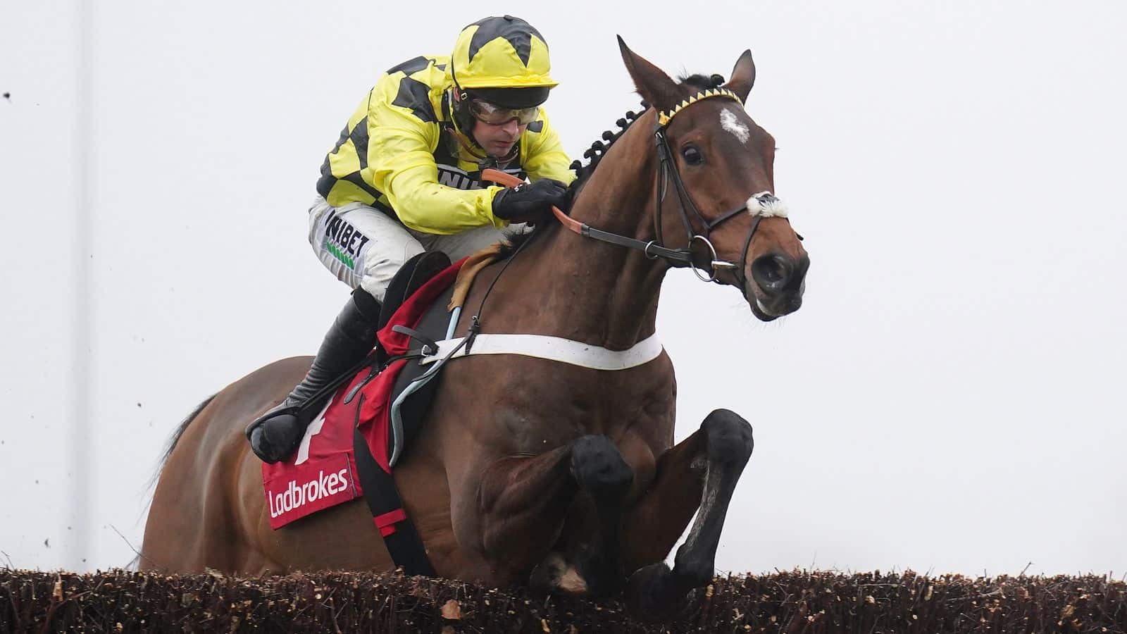 Cheltenham Festival 2025 Favourites Back or Lay?