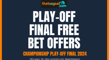 Championship play-off final